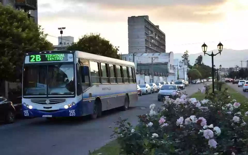 Empresas de Saeta reducen frecuencias y advierten que la crisis puede agravarse