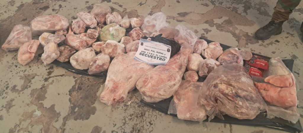 Secuestraron más de 100 kilos de carne no apta para consumo en una carnicería de Quijano