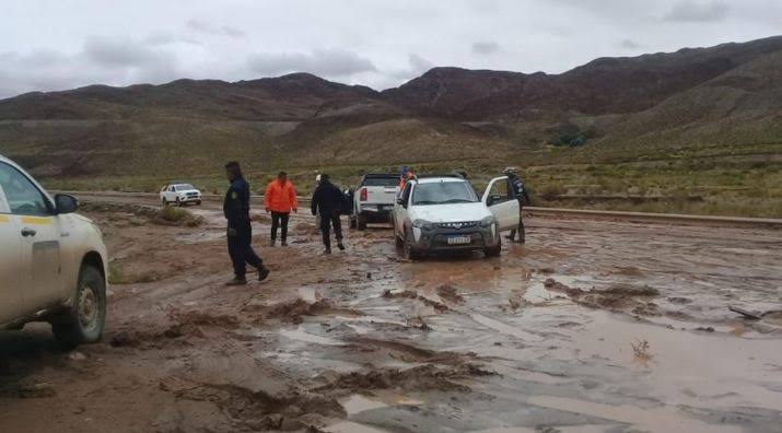 Alerta en las rutas: barro, agua y animales complican la circulación en distintos puntos de Salta