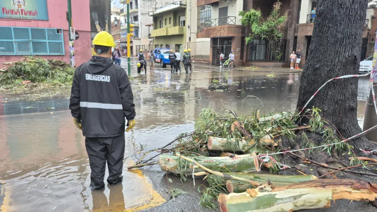 Ramas, cables y postes caídos: seis intervenciones tras la lluvia en la ciudad
