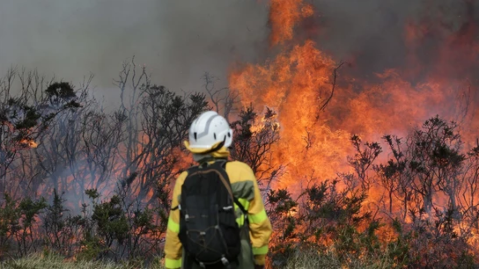 Incendios forestales: riesgo alto este sábado en Salta Capital, Tartagal y Orán