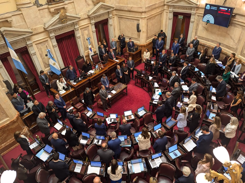 El Senado debate la reforma de la Ley de Salud Mental que habilita las internaciones involuntarias