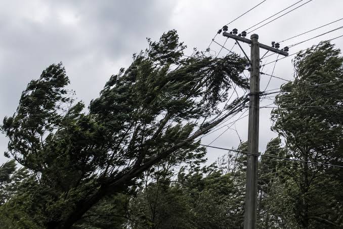 Ramas sobre una línea eléctrica provocaron cortes de luz en Cerrillos y otras localidades