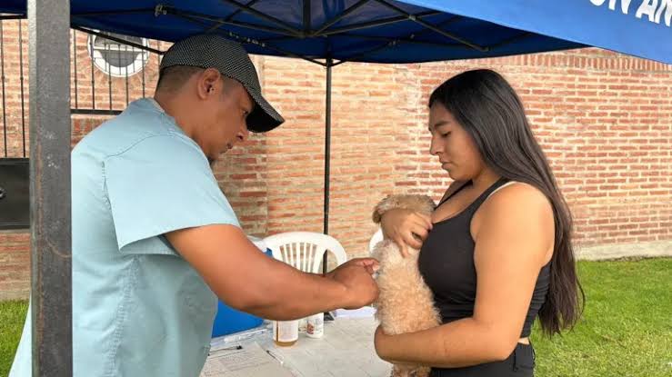 Vacunación antirrábica gratuita: esta semana llegará a cinco barrios de la ciudad